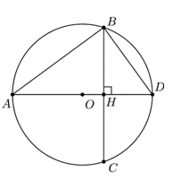 10 Bài tập Cung và dây của một đường tròn (có đáp án) | Kết nối tri thức Trắc nghiệm Toán 9