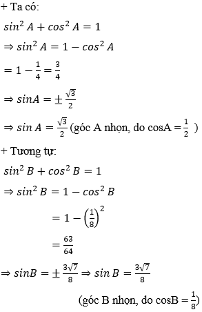 Cách giải bài tập về Định lí Sin trong tam giác (cực hay, chi tiết)