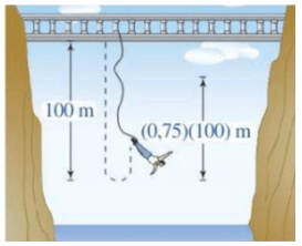 Bài toán thực tế về cấp số nhân (cực hay có lời giải)