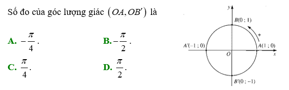 Chuyên đề Hàm số lượng giác và phương trình lượng giác lớp 11 (Chân trời sáng tạo)