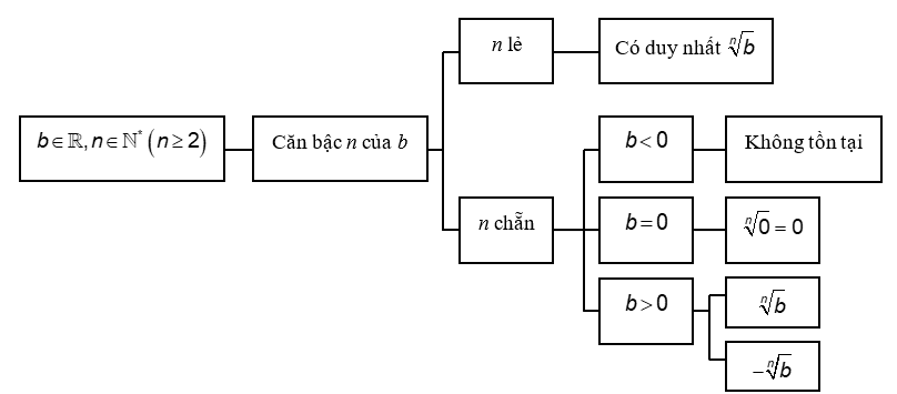 Chuyên đề Hàm số mũ và hàm số lôgarit lớp 11 (Chân trời sáng tạo)