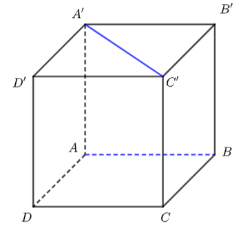 Chuyên đề Quan hệ vuông góc trong không gian lớp 11 (Chân trời sáng tạo)