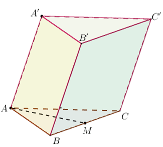 Chuyên đề Quan hệ vuông góc trong không gian. Phép chiếu vuông góc lớp 11 (Cánh diều)