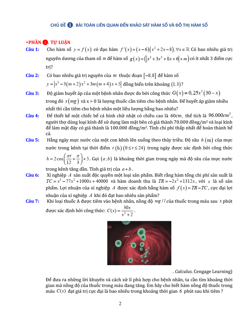 Chuyên đề bài tập bồi dưỡng HSG Toán 12 (có lời giải)