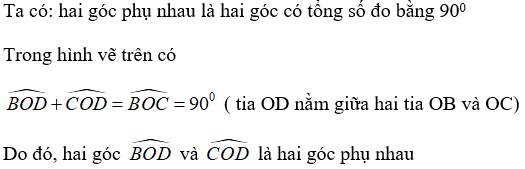 Toán lớp 6 | Lý thuyết - Bài tập Toán 6 có đáp án