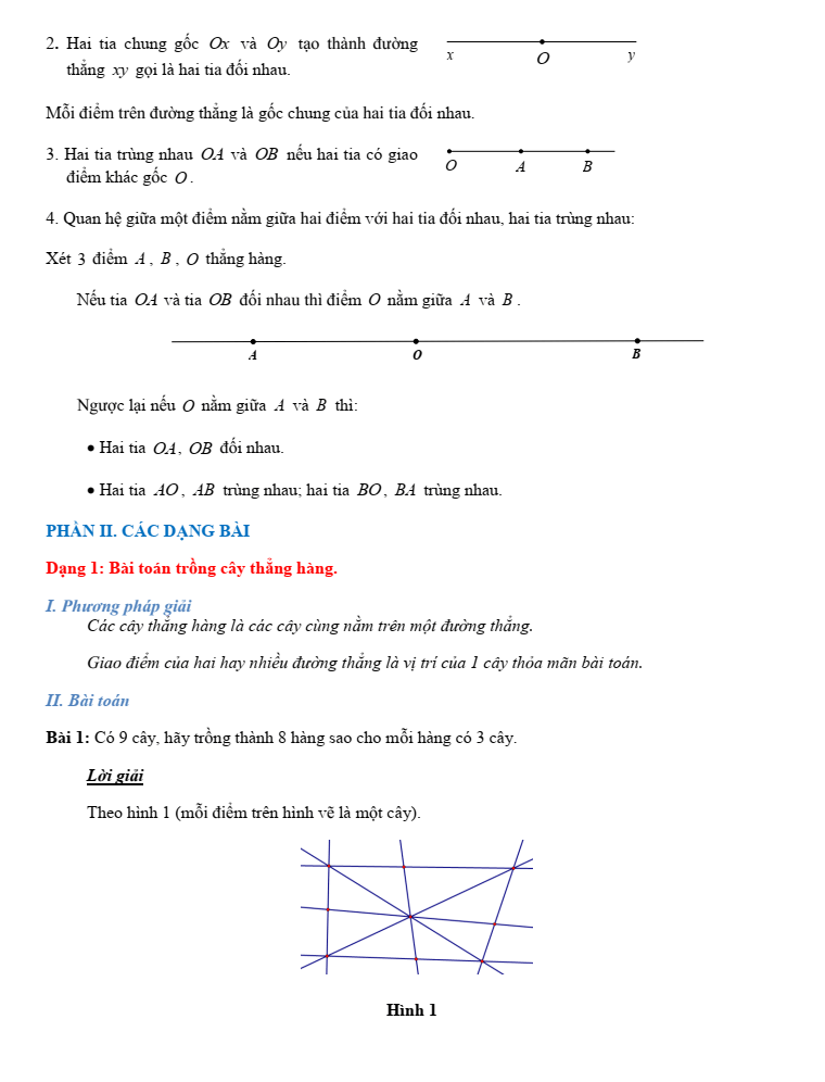 Chuyên đề bồi dưỡng HSG Toán 6 Điểm, đường thẳng, đoạn thẳng (có lời giải)