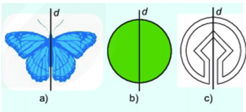 Chuyên đề bồi dưỡng HSG Toán 6 Hình học trực quan (có lời giải)