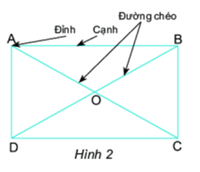 Chuyên đề Hình học trực quan lớp 6 (Cánh diều)