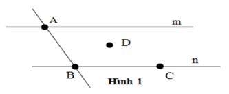 Trắc nghiệm Điểm. Đường thẳng - Bài tập Toán lớp 6 chọn lọc có đáp án, lời giải chi tiết