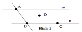 Trắc nghiệm Điểm. Đường thẳng - Bài tập Toán lớp 6 chọn lọc có đáp án, lời giải chi tiết