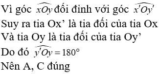 Toán lớp 7 | Lý thuyết - Bài tập Toán 7 có đáp án