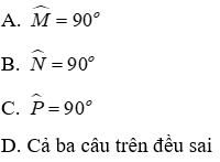 Bài tập ôn tập Chương 2 Hình Học 7