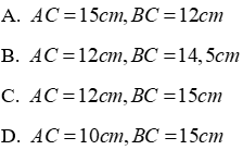 Bài tập ôn tập Chương 2 Hình Học 7