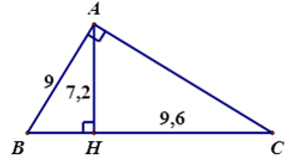 Bài tập ôn tập Chương 2 Hình Học 7