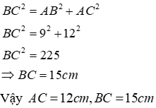 Bài tập ôn tập Chương 2 Hình Học 7