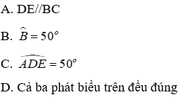 Bài tập ôn tập Chương 2 Hình Học 7