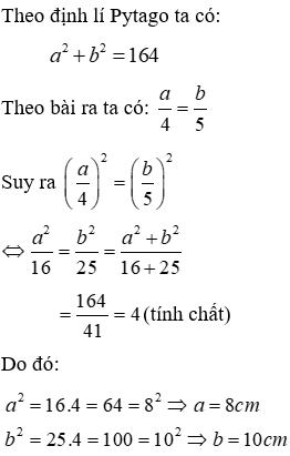 Bài tập ôn tập Chương 2 Hình Học 7