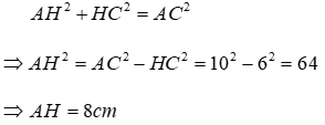 Bài tập ôn tập Chương 2 Hình Học 7