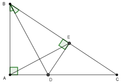 Bài tập ôn tập Chương 2 Hình Học 7