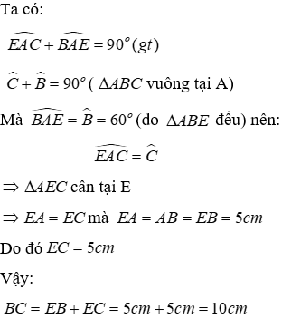 Bài tập ôn tập Chương 2 Hình Học 7