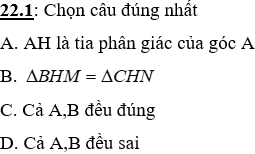 Bài tập ôn tập Chương 2 Hình Học 7