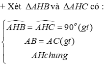 Bài tập ôn tập Chương 2 Hình Học 7