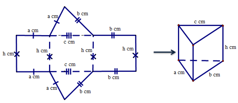 Mô tả và tạo lập hình lăng trụ đứng tam giác, lăng trụ đứng tứ giác (cách giải + bài tập)