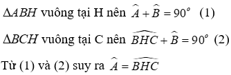 Trắc nghiệm Quan hệ giữa góc và cạnh đối diện trong một tam giác