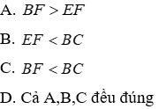 Trắc nghiệm Quan hệ giữa góc và cạnh đối diện trong một tam giác