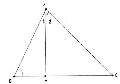 Chuyên đề Tam giác lớp 7