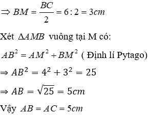 Trắc nghiệm Tính chất ba đường cao của tam giác