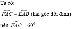 Trắc nghiệm Tính chất ba đường cao của tam giác