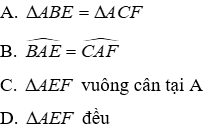 Trắc nghiệm Tính chất ba đường cao của tam giác