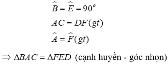 Trắc nghiệm Các trường hợp bằng nhau của tam giác vuông