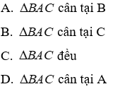 Trắc nghiệm Các trường hợp bằng nhau của tam giác vuông