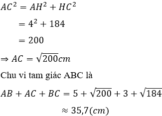 Trắc nghiệm Định lí Pi-ta-go