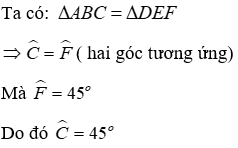 Trắc nghiệm Hai tam giác bằng nhau