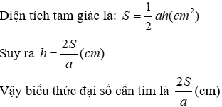 Trắc nghiệm Khái niệm về biểu thức đại số