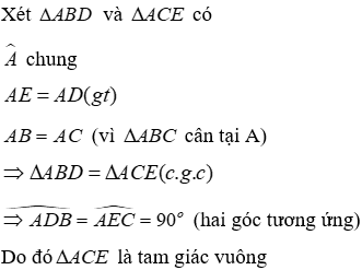 Trắc nghiệm Tam giác cân