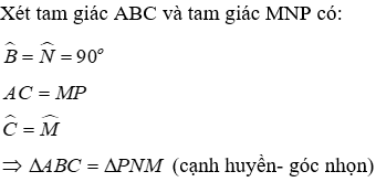 Trắc nghiệm Trường hợp bằng nhau thứ ba của tam giác: góc - cạnh - góc (g.c.g)