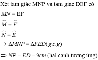 Trắc nghiệm Trường hợp bằng nhau thứ ba của tam giác: góc - cạnh - góc (g.c.g)