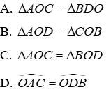 Trắc nghiệm Trường hợp bằng nhau thứ hai của tam giác: cạnh - góc - cạnh (c.g.c)