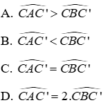 Trắc nghiệm Trường hợp bằng nhau thứ nhất của tam giác: cạnh - cạnh - cạnh (c.c.c)