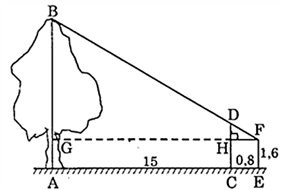 Áp dụng các trường hợp đồng dạng của tam giác vào vấn đề thực tiễn lớp 8 (cách giải + bài tập)