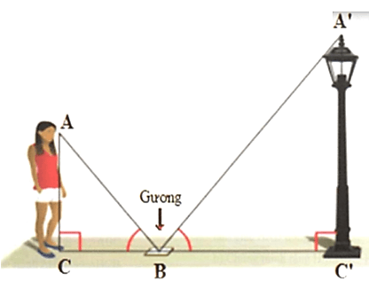 Áp dụng các trường hợp đồng dạng của tam giác vào vấn đề thực tiễn lớp 8 (cách giải + bài tập)