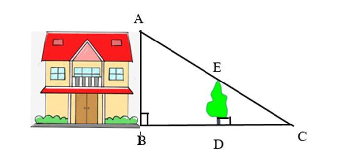 Định lí Thalès trong tam giác lớp 8 (cách giải + bài tập)