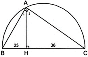 Bài tập Các trường hợp đồng dạng của tam giác vuông | Lý thuyết và Bài tập Toán 8 có đáp án