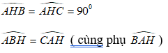 Bài tập Các trường hợp đồng dạng của tam giác vuông | Lý thuyết và Bài tập Toán 8 có đáp án