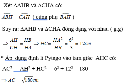 Bài tập Các trường hợp đồng dạng của tam giác vuông | Lý thuyết và Bài tập Toán 8 có đáp án