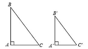 Các trường hợp đồng dạng của tam giác vuông lớp 8 (cách giải + bài tập)